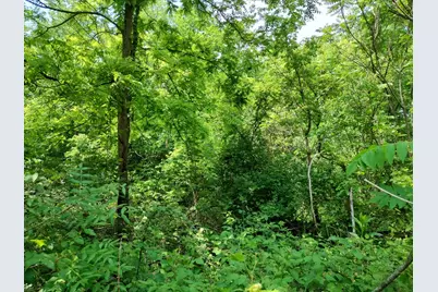 Briarwood Drive, Otsego, MI 49078 - Photo 4