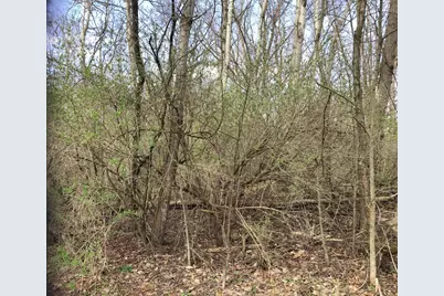 Briarwood Drive, Otsego, MI 49078 - Photo 2