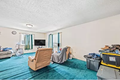 117 S Warren Avenue, Big Rapids, MI 49307 - Photo 48