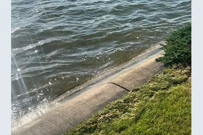 Wildwood Road, Quincy, MI 49082 - Photo 14