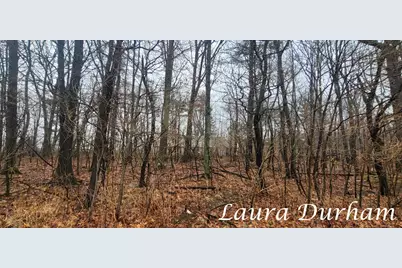 11525 Fillmore Street, West Olive, MI 49460 - Photo 12