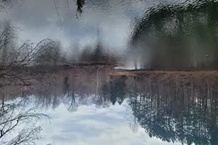 6 Cider Hill Ln, Douglas, MI 49406 - Photo 30