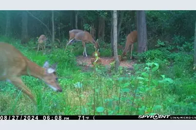 V/L E L Avenue, Kalamazoo, MI 49048 - Photo 8