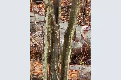 V/L E L Avenue, Kalamazoo, MI 49048 - Photo 2