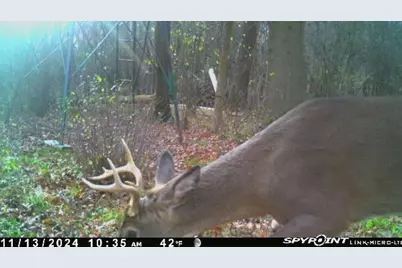 V/L E L Avenue, Kalamazoo, MI 49048 - Photo 10