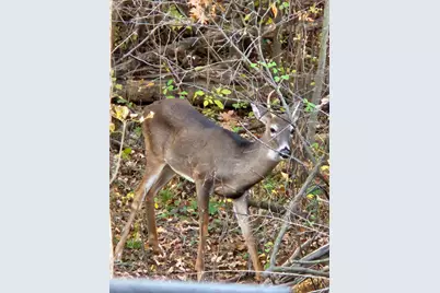 V/L E L Avenue, Kalamazoo, MI 49048 - Photo 4