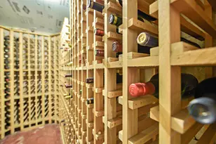 805 Oxford Rd, Ann Arbor, MI 48104 - Photo 68