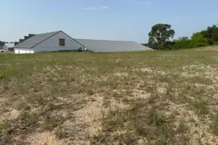 3151 Hc-Edmore Rd (M-46, Edmore, MI 48829 - Photo 4