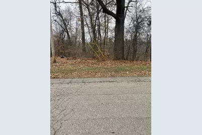 0 Wilson Street, Coloma, MI 49038 - Photo 2