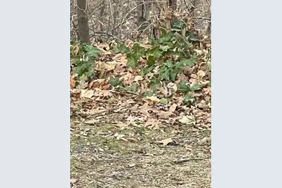 0 Wilson Street, Coloma, MI 49038 - Photo 6