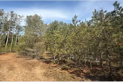 V/L W Pine Acres Trail, Hart, MI 49420 - Photo 6