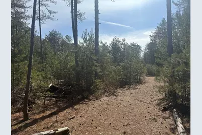 V/L W Pine Acres Trail, Hart, MI 49420 - Photo 8