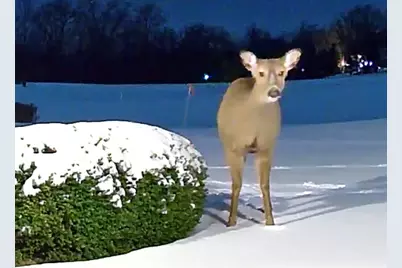 2122 Grange Road, Buchanan, MI 49107 - Photo 102