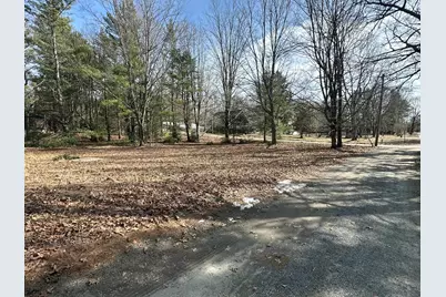 Sands Street - Vacant, Pentwater, MI 49449 - Photo 8