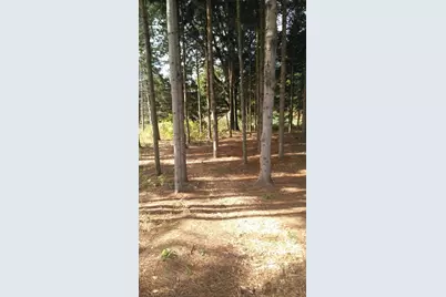 Vl Tyler Hills Drive #Unit 12, Traverse City, MI 49685 - Photo 6