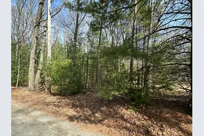 Morris St - Lot B, Pentwater, MI 49449 - Photo 10