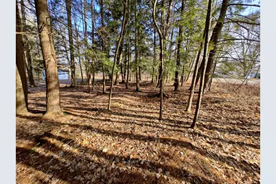 Vl W Lake Mitchell Drive, Cadillac, MI 49601 - Photo 6