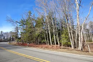 Vl W Lake Mitchell Dr, Cadillac, MI 49601 - Photo 1