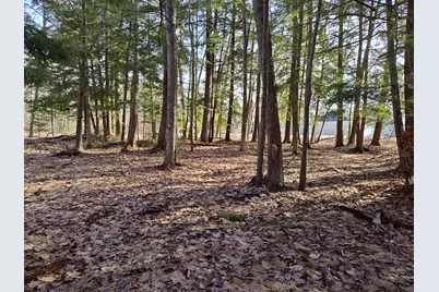 Vl W Lake Mitchell Drive, Cadillac, MI 49601 - Photo 8