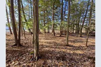 Vl W Lake Mitchell Drive, Cadillac, MI 49601 - Photo 4