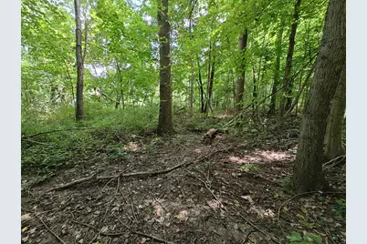 Vl Clinton Road, Benton Harbor, MI 49022 - Photo 6