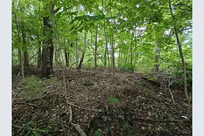 Vl Clinton Road, Benton Harbor, MI 49022 - Photo 10