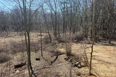 1079 Arlington Street, Middleville, MI 49333 - Photo 8