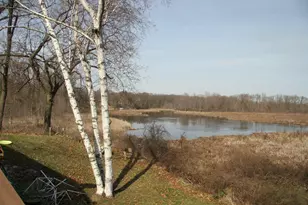 1029 Azaleamum Dr, Three Rivers, MI 49093 - Photo 24