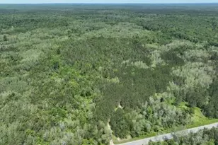 00 V/L 13 Mile Rd, Bitely, MI 49309 - Photo 1