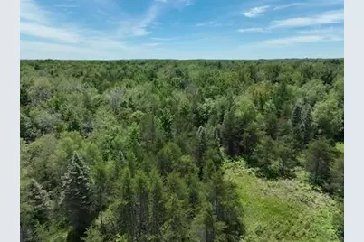 0 V/L W 13 Mile Rd. #Par C, Bitely, MI 49309 - Photo 8