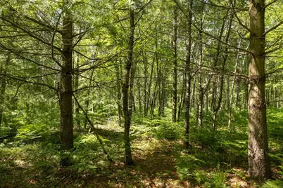 0 V/L W 13 Mile Rd. #Par C, Bitely, MI 49309 - Photo 4