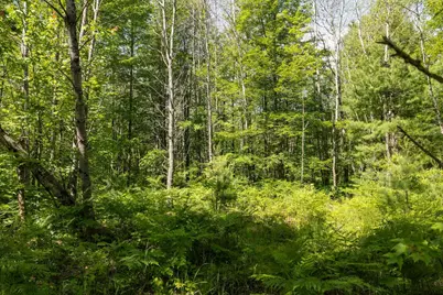 0 V/L W 13 Mile Rd. #Par C, Bitely, MI 49309 - Photo 6