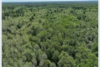 0 V/L W 13 Mile Rd. #Par C, Bitely, MI 49309 - Photo 2