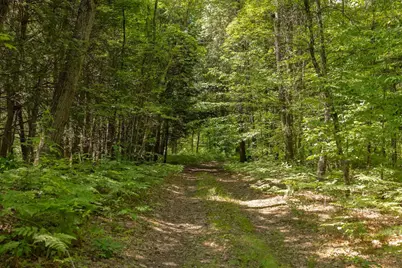 000 V/L 13 Mile Rd. #Par D, Bitely, MI 49309 - Photo 2