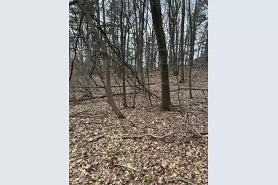 V/L Smugglers Pass Lot 15, Pentwater, MI 49449 - Photo 4