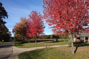 640 S Oak Ave, White Cloud, MI 49349 - Photo 46