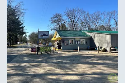 16421 S Star Lake Drive, Baldwin, MI 49304 - Photo 4