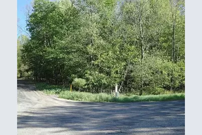 Lot 124 Longbridge, Pentwater, MI 49449 - Photo 2