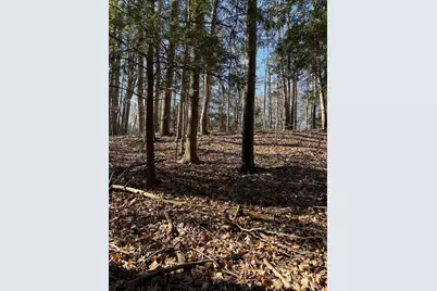 Vl Lot 811 Miramichi Drive, Evart, MI 49631 - Photo 4