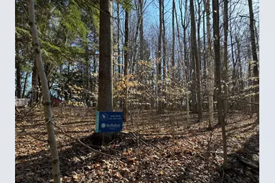 Vl Lot 811 Miramichi Drive, Evart, MI 49631 - Photo 2