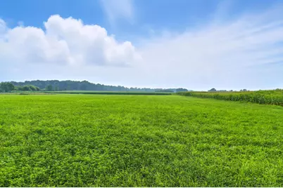 12185 Irish Road, Otisville, MI 48463 - Photo 38