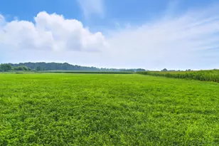 12185 Irish Rd, Otisville, MI 48463 - Photo 38