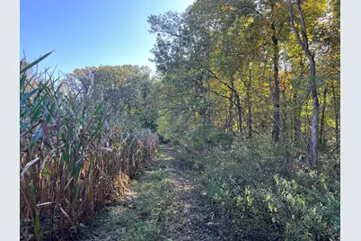 W St Joseph Street, Lawrence, MI 49064 - Photo 4