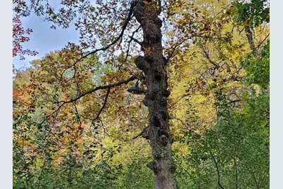 Vl N Shore Drive, Delton, MI 49046 - Photo 22