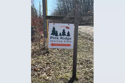 264 S 152nd Avenue #- 40 Acres & Cabin, Shelby, MI 49455 - Photo 24