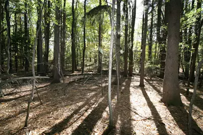 B.1 111th Avenue, South Haven, MI 49090 - Photo 6