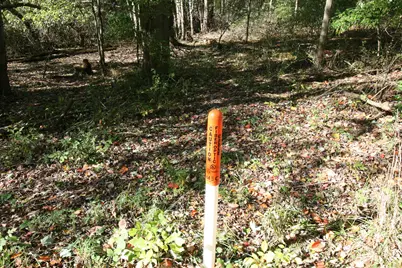 B.1 111th Avenue, South Haven, MI 49090 - Photo 6