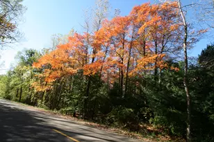 A 3 70th Street & 111th Ave, South Haven, MI 49090 - Photo 1