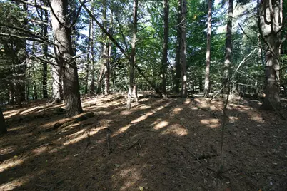 A.3 70th Street & 111th Avenue, South Haven, MI 49090 - Photo 16