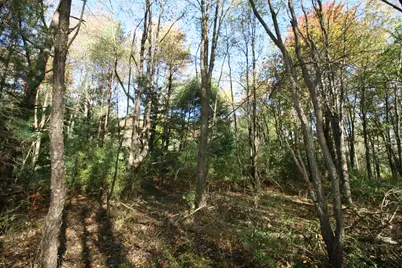 A.3 70th Street & 111th Avenue, South Haven, MI 49090 - Photo 14